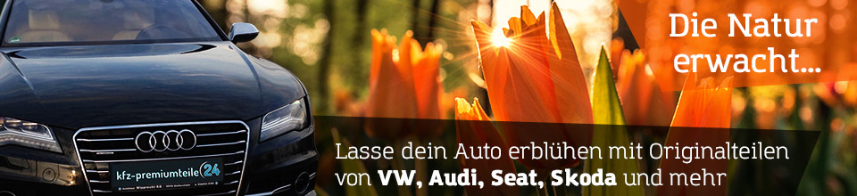 slider - frühling